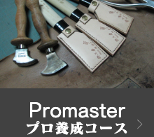 プロマスター（プロ養成コース）