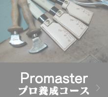 プロマスター（プロ養成コース）